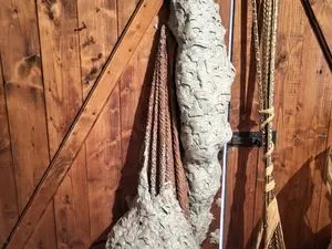 GAF Nuisibles SARREBOURG guêpes frelons abeilles cafard puce et punaise de lit dératisation