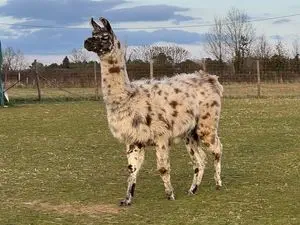 La Fermette du Pérougord